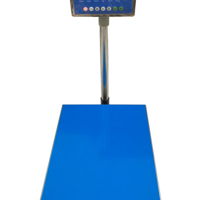 Cân Bàn Điện Tử DIGI DS-166SS 100 kg