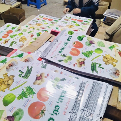 ￼Tranh lò xo- Bộ Tranh Treo Tường 6 Tờ 12 Chủ Đề dành cho bé (Song ngữ Việt Anh)