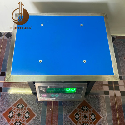 Cân Ghế Điện Tử DI28SS - Mặt Bàn Cân 300x400MM - Đầu Chống Nước