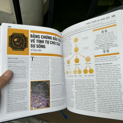 (Bìa cứng – in màu) SINH HỌC - Khái lược những tư tưởng lớn – DK – Nguyễn Thị Bình dịch – Đông A