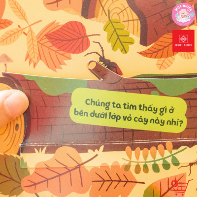 Sách Hình Động Tương Tác – 1001 Câu Hỏi Đáp Về Thế Giới Quanh Ta – Đinh Tị Books