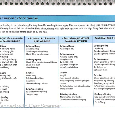 Sách Lò Xo - 15 Phút Tập Bụng (Kèm 1 DVD)