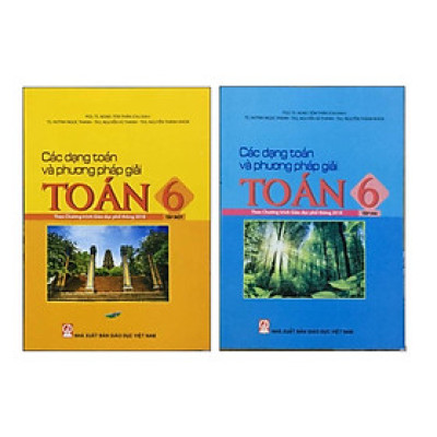 Sách Các Dạng Toán Và Phương Pháp Giải Toán 6 (2 Quyển)