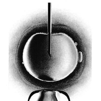 Homo Deus - Lược Sử Tương Lai