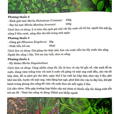 Thuốc Nam Trị Bệnh - Bìa Cứng