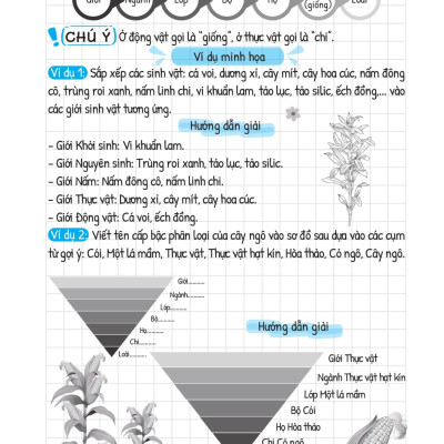 Sổ Tay Kiến Thức - Phương Pháp - Dạng Bài Khoa Học Tự Nhiên Lý - Hóa - Sinh - MEGA