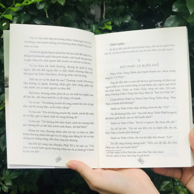 Sách Thiền là một nhành hoa