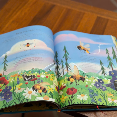 (Bìa cứng in màu) ĐIỀU KỲ DIỆU CỦA THIÊN NHIÊN - Altea Villa; Francesca Sudano – Mai VQ dịch - Ndbooks