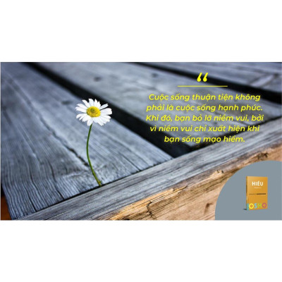 Sách OSHO Hiểu - Đường Đến Tự Do - The Book Of Understanding - First News