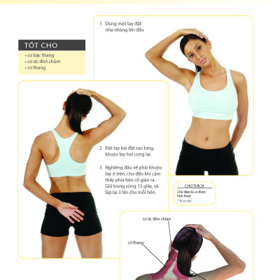 Khỏe Đẹp Với Các Bài Tập Cơ Bản