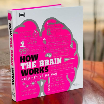 Sách - Hiểu hết về bộ não (How the brain works) (Nhã Nam HCM)