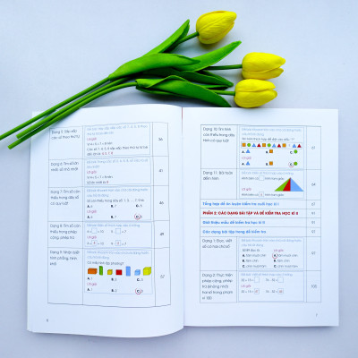 Chinh phục điểm 10 đề kiểm tra học kì Toán 1 (CD)