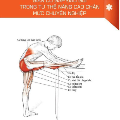 Sách - Giải Phẫu Học Về Giãn Cơ - Giãn Cơ Để Tối Ưu Sức Mạnh Cơ Bắp - Stretching Anatomy (Tái Bản 2024)