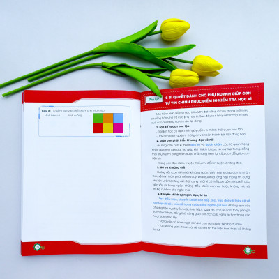 Chinh phục điểm 10 đề kiểm tra học kì Toán 1 (CD)