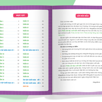 Sách - Phiếu bài tập cuối tuần Toán lớp 3