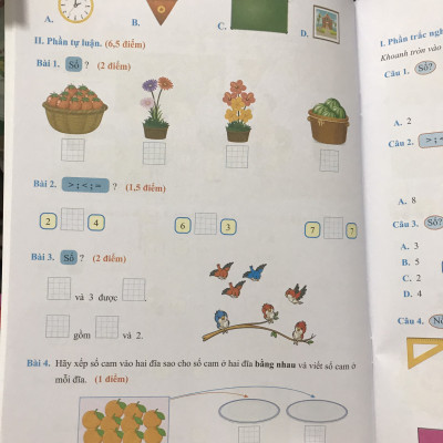 Đề kiểm tra toán 1 học kì 1 ( Kết nối tri thức với cuộc sống )