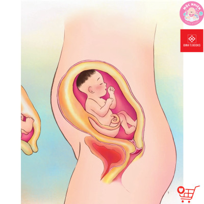 Sách Giáo Dục Giới tính Và Nhân Cách Dành Cho Bé Gái - Đinh Tị