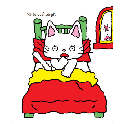 Combo Bé mèo Nontan