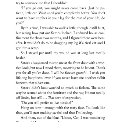 The Travelling Cat Chronicles