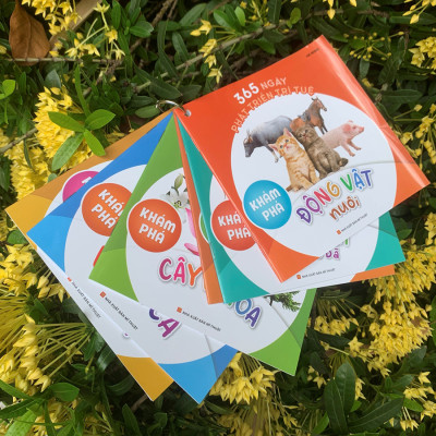 365 Ngày Phát Triển Trí Tuệ - Khám Phá