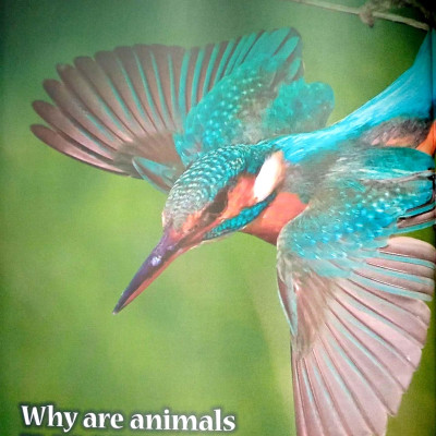 Oxford Discover Futures Level 5: Student Book