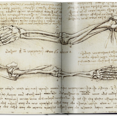 Artbook - Sách Tiếng Anh - Leonardo: The Complete Paintings And Drawings