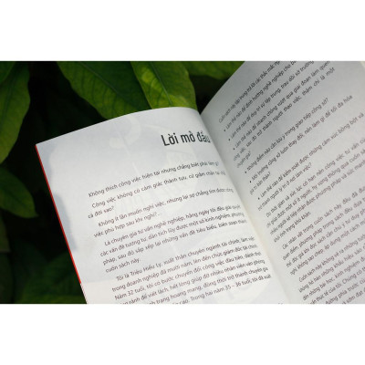 Từ Tối Giản Đến Tối Cao - Chiến Lược Nghề Nghiệp Trong Thời Đại VUCA - Bản Quyền