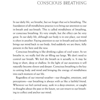 Happiness - Essential Mindfulness Practices