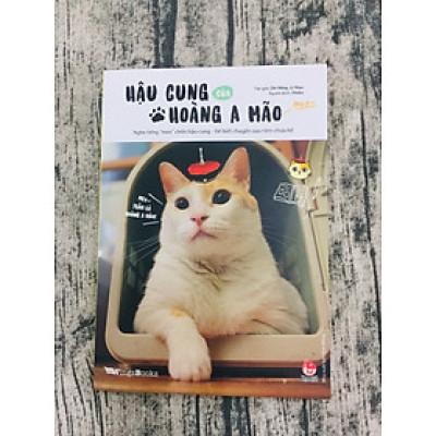 HẬU CUNG CỦA HOÀNG A MÃO