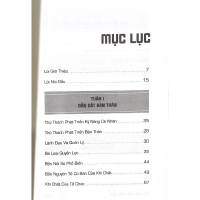 Nhanh! Tôi Cần Trở Thành Nhà Lãnh Đạo Trong 30 Ngày