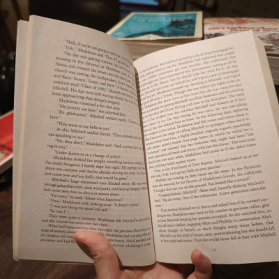 Sách - The Marriage Plot by Jeffrey Eugenides - Fiction/ Book Club /Romance in English