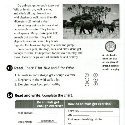 Explore Our World 4: Workbook