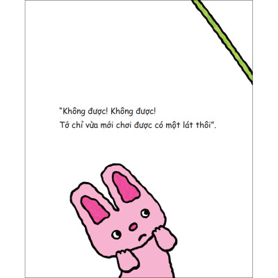 Combo Bé mèo Nontan