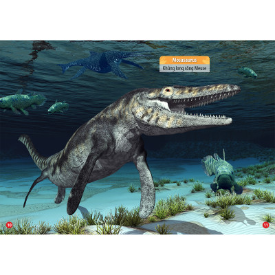 Combo 4 Cuốn: Thế Giới Khủng Long - Thế Giới Loài Chim - Chữ Cái Và Số Đếm - Hoa Rau Củ Quả 