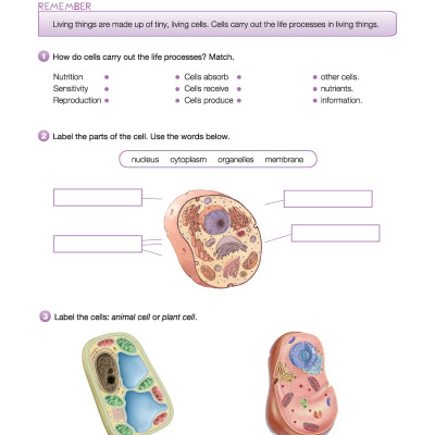 i-Learn Smart Science 5 Activity Book
