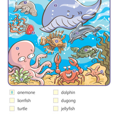 Dolphin Readers Level 4: In The Ocean