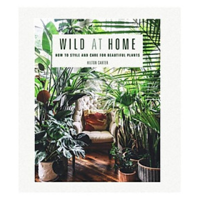 Wild at Home : How To Style And Care For Beautiful Plants