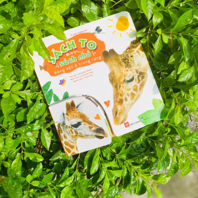 Sách - Sách to ôm sách nhỏ - Combo 2 tập dành cho bé 0 - 6 tuổi - Đinh Tị Books