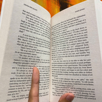 Sách - Good Wives (Collins Classics) by Louisa May Alcott - Văn Học Kinh Điển, Tiếng Anh \ English Classic Novel 