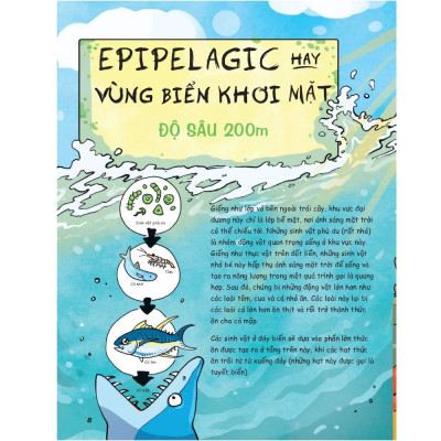 Siêu Nhí Khám Phá Đại Dương