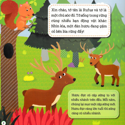 Sách Ghép Hình Phát Triển IQ - Chuyện Trong Rừng Rậm _TV