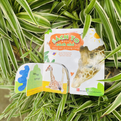 Sách - Sách to ôm sách nhỏ - Combo 2 tập dành cho bé 0 - 6 tuổi - Đinh Tị Books