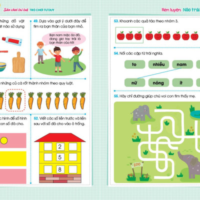Sách - Sân Chơi Trí Tuệ - Trò Chơi Tư Duy - RÈN LUYỆN NÃO TRÁI, NÃO PHẢI - Dành cho trẻ 5-6 tuổi