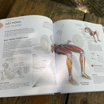 Bìa cứng - KHOA HỌC VỀ TẬP KHÁNG LỰC – DK , Austin Current - Hoàng Đức Long dịch – Nhã Nam-  NXB Thế Giới