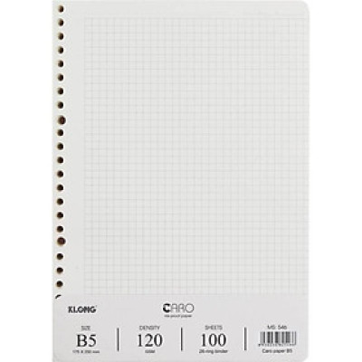 Ruột giấy refill sổ còng Caro B5 - 100 tờ; MS: 546