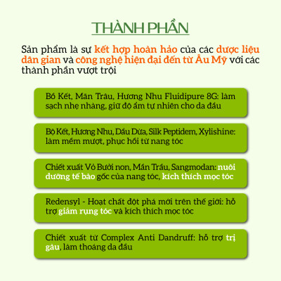 Dầu gội thảo dược sạch gàu, giảm xơ rối ECOCARE PREMIUM 300ml đạt chuẩn CGMP, dầu gội xả thiên nhiên 