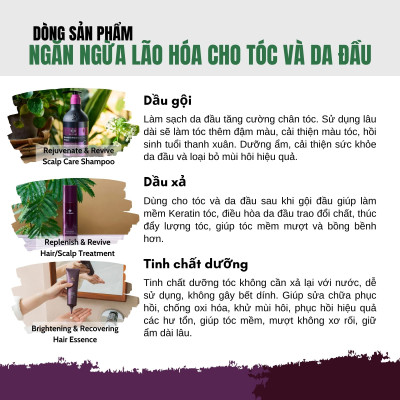Dầu Gội Dưỡng Đen Và Trẻ Hóa Tóc Dr