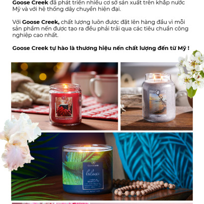 Nến ly 3 bấc Aromatherapy Goose Creek (411g) - Lemongrass & Sage