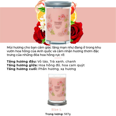 Nến ly tròn sáp đậu nành Yankee Candle size L (567g) - Fresh Cut Roses