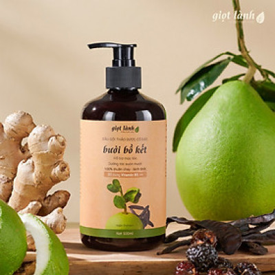 Dầu gội bồ kết - bưởi, dầu gội thảo dược thuần chay hỗ trợ kích mọc tóc Giọt Lành 500ml